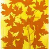Syl Arena – Anthotypes - Maple on Turmeric